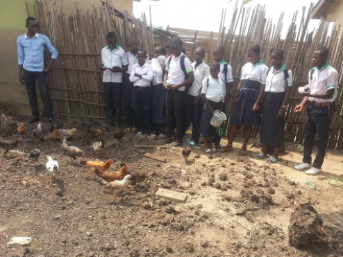 Zemědělský projekt v Mabale přispívá na údržbu školy